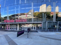 Zonotrichia albicollis