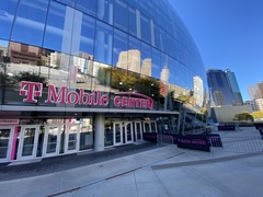 Zonotrichia albicollis