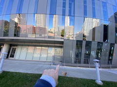 Zonotrichia albicollis