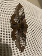 Neorcarnegia basirei