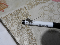 Pantomallus sordidus