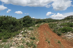 Euphydryas desfontainii