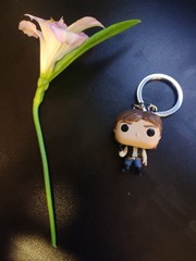 Alstroemeria magnifica