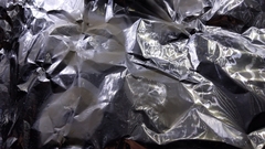 Rhodocollybia oregonensis