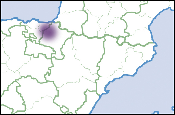 Arion lizarrustii