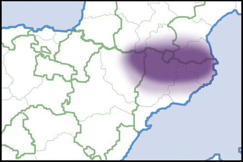 Representative image of Arion molinae