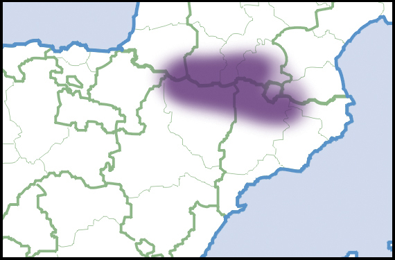 Arion anthracius