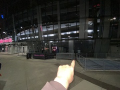 Zonotrichia albicollis