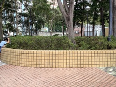 Streptopelia chinensis