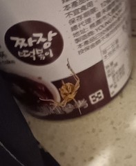 Micropholcus fauroti