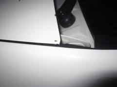 Agonosoma flavolineatum