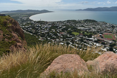 Triodia stenostachya