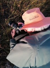 Satyrium stenopetalum