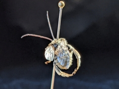 Melissodes tristis