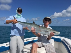 Scomberomorus cavalla