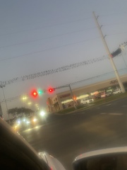 Psittacara holochlorus