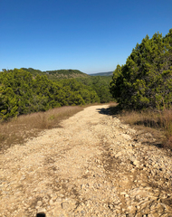 Terralonus fraternus