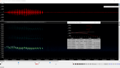 Lasiurus intermedius