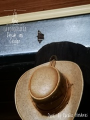 Hemeroblemma mexicana