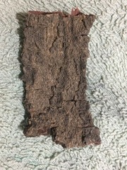 Azadirachta indica