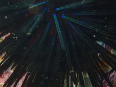 Centrostephanus coronatus