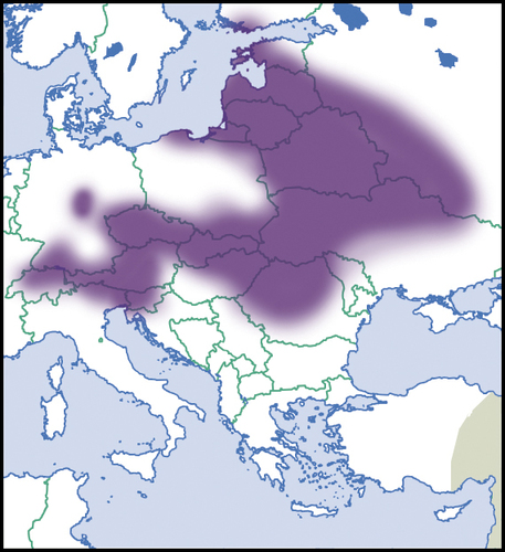 Paracochlodina orthostoma