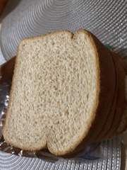 Saccharomyces cerevisiae