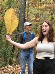 Magnolia macrophylla