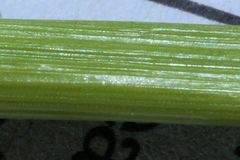 Juncus effusus solutus