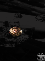 Agroiconota bivittata