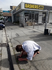 Trifolium suffocatum