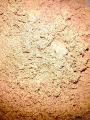 Pleurodema nebulosum