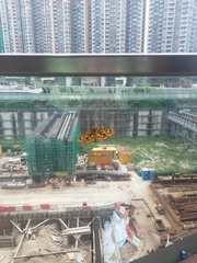 Epobeidia tigrata tigrata