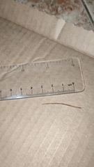 Geophilus carpophagus