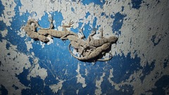 Tenuidactylus turcmenicus