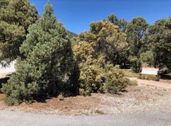 Formica obtusopilosa