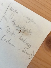 Culicidae