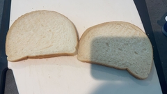 Saccharomyces cerevisiae