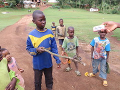 Kinyongia multituberculata