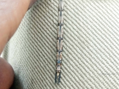 Gynacantha manderica