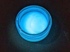 Pseudomonas