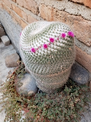 Mammillaria huitzilopochtli