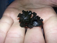 Cordieritidaceae