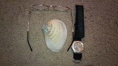 Eucrassatella donacina