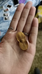 Terminalia calamansanai