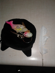 Aves