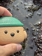 Dictyopteris undulata