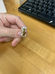 Ceuthophilus fusiformis