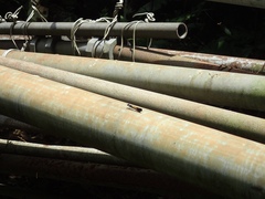 Heliocypha perforata