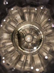 Macrobrachium asperulum